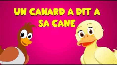 que veut dire le canard.